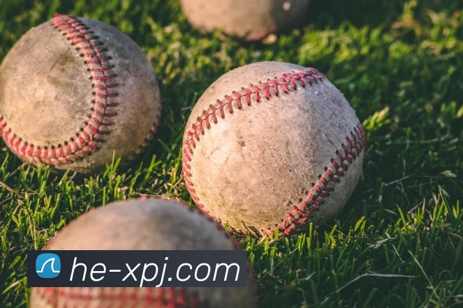 澳门新葡京娱乐服务体系